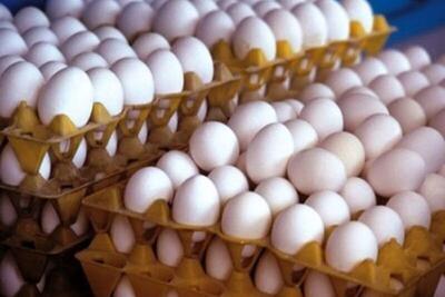  تنش قیمتی جدید در بازار / تخم‌مرغ شوک تازه‌ای به مصرف‌کنندگان وارد کرد
