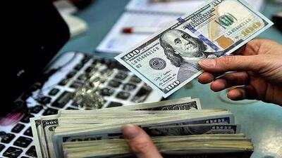  آخرین قیمت دلار امروز چهارشنبه ۱۳ خرداد ۱۴۰۵/ دلار آزاد افزایشی ماند